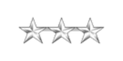 LAPD Assistant Chief rank insignia