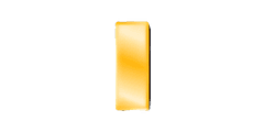 CHP Lieutenant rank insignia